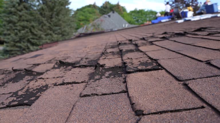 Best Asphalt Shingles Roofing  in Newport, RI